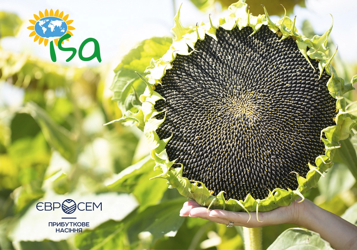 Євросем — член International Sunflower Association ISA): 4 роки міжнародної співпраці